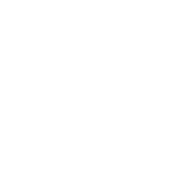 Nicolas Debrosse Photographie Logo